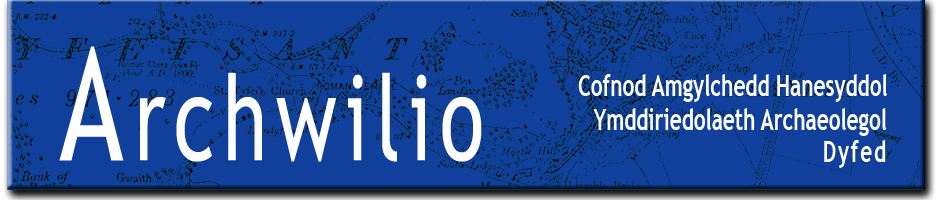 Dyfed banner